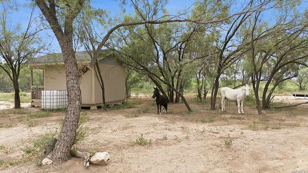 11 Acres of Land for Sale in Devine, Texas