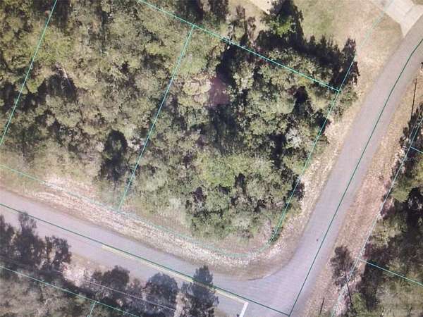 0.29 Acres of Residential Land for Sale in Ocala, Florida