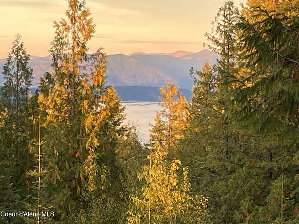 16.1 Acres of Land with Home for Sale in Careywood, Idaho