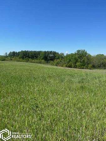 80 Acres of Land for Sale in Ellston, Iowa