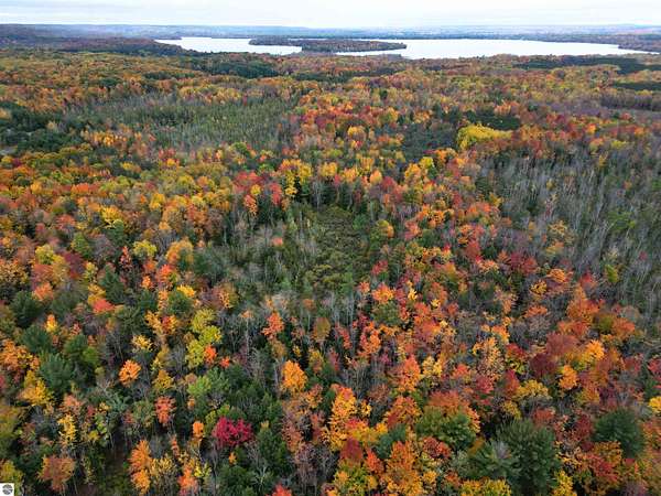 30.2 Acres of Recreational & Residential Land for Sale in Grawn, Michigan