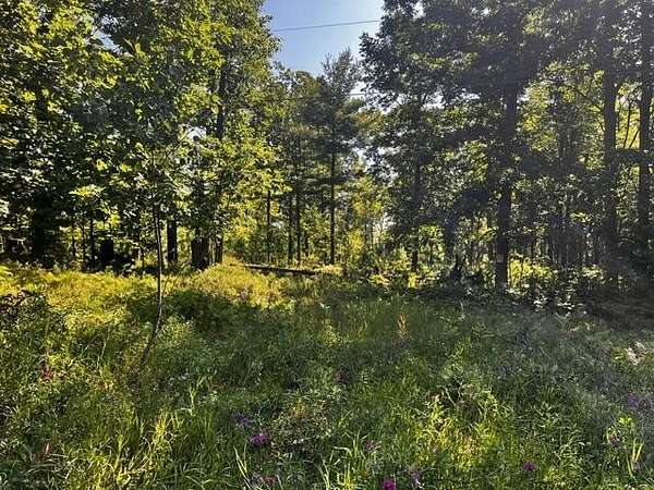 36 Acres of Recreational & Residential Land for Sale in Topinabee, Michigan