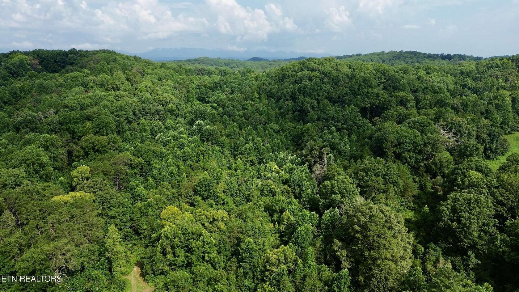 6.54 Acres of Residential Land for Auction in Heiskell, Tennessee