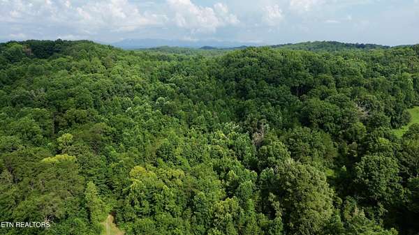 6.54 Acres of Residential Land for Auction in Heiskell, Tennessee