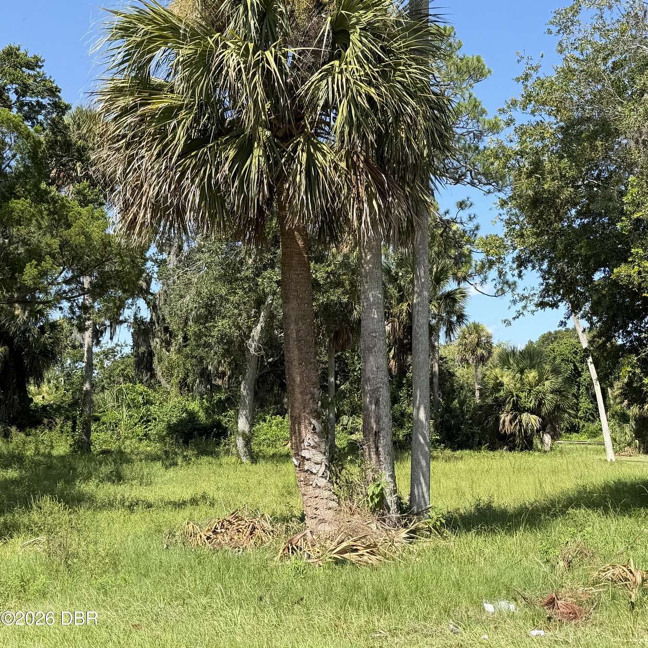 0.13 Acres of Commercial Land for Sale in Daytona Beach, Florida