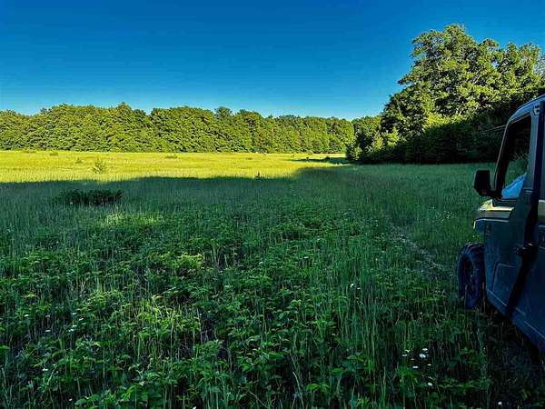 78.2 Acres of Recreational & Residential Land for Sale in Central Lake, Michigan