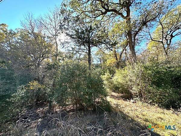 0.38 Acres of Land for Sale in Bastrop, Texas