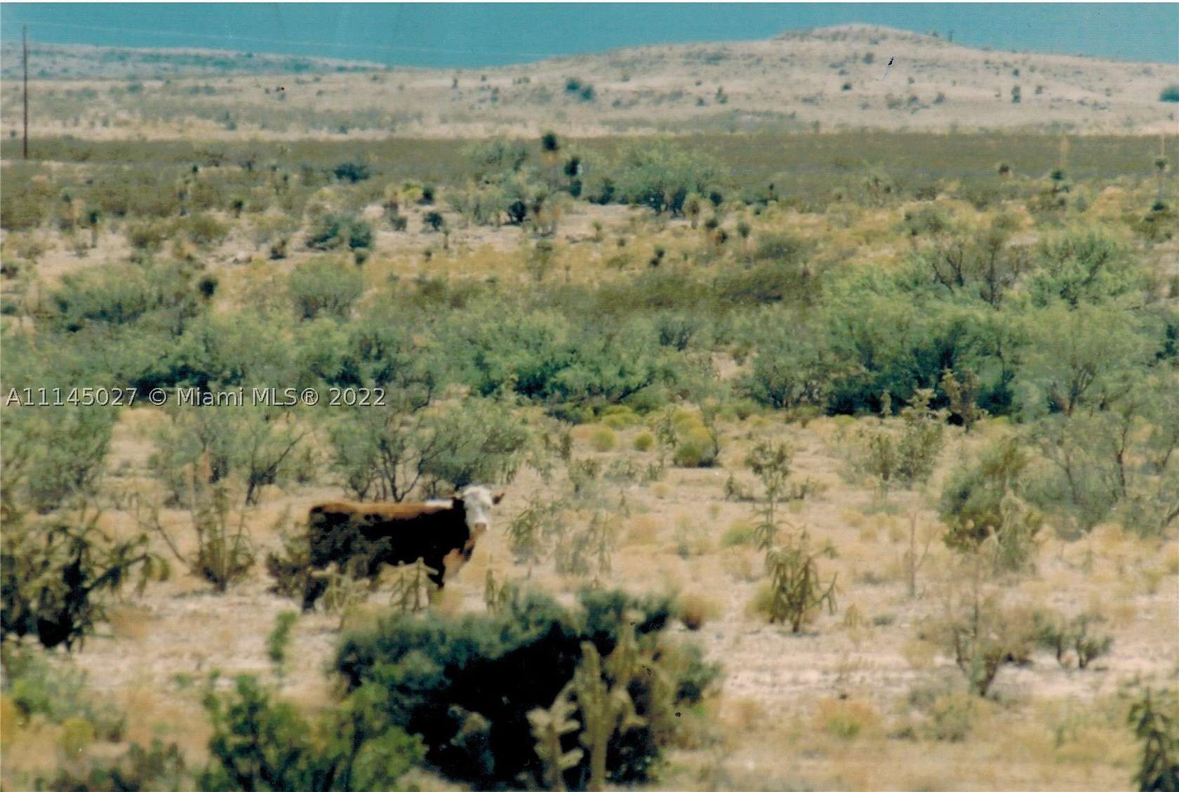 20 Acres of Land for Sale in Fort Hancock, Texas