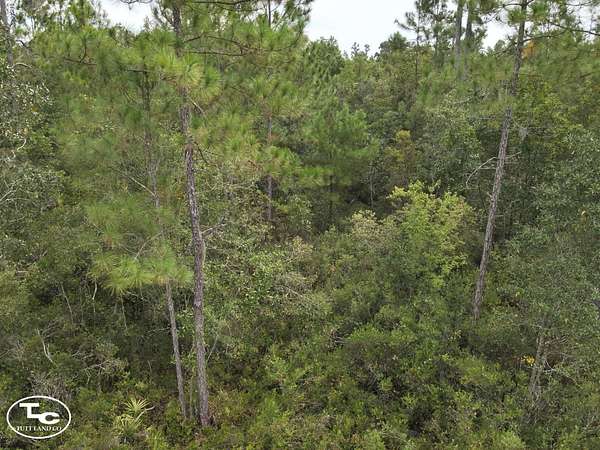40 Acres of Land for Sale in Madison, Florida
