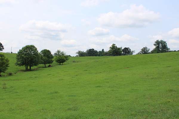 5 Acres of Residential Land for Sale in Rock Island, Tennessee