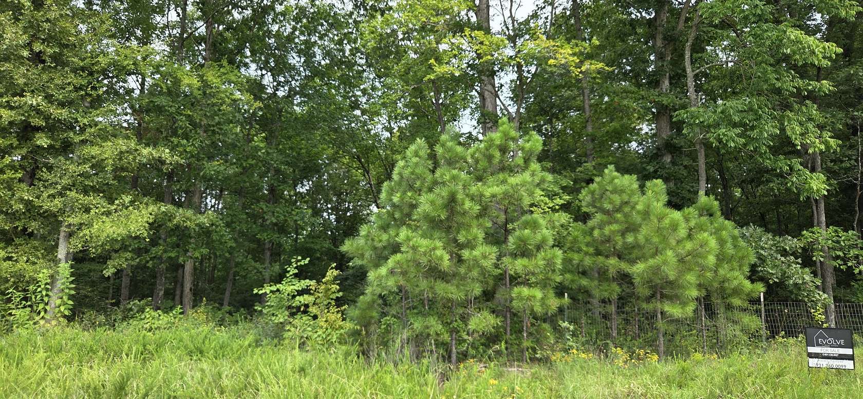 29.8 Acres of Recreational & Residential Land for Sale in Stewart, Tennessee