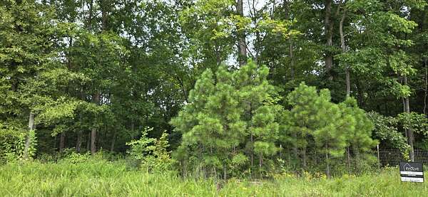 29.8 Acres of Recreational & Residential Land for Sale in Stewart, Tennessee