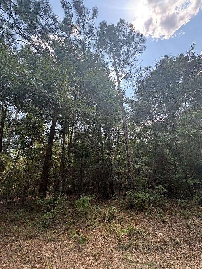 0.49 Acres of Residential Land for Sale in Donalsonville, Georgia