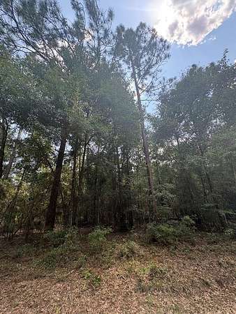 0.49 Acres of Residential Land for Sale in Donalsonville, Georgia