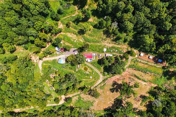 82.6 Acres of Land for Sale in Hartsville, Tennessee