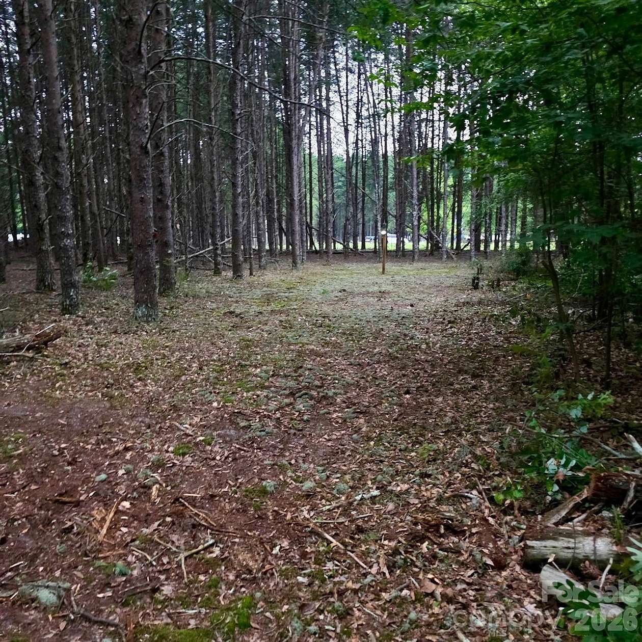 1 Acre of Residential Land for Sale in Kershaw, South Carolina