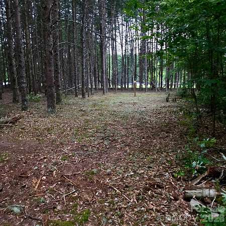 1 Acre of Residential Land for Sale in Kershaw, South Carolina
