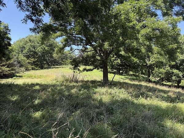 15 Acres of Recreational & Residential Land for Sale in Powell, Missouri