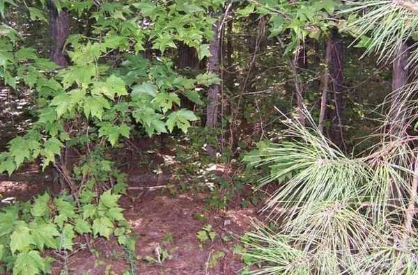 0.64 Acres of Residential Land for Sale in Louisburg, North Carolina