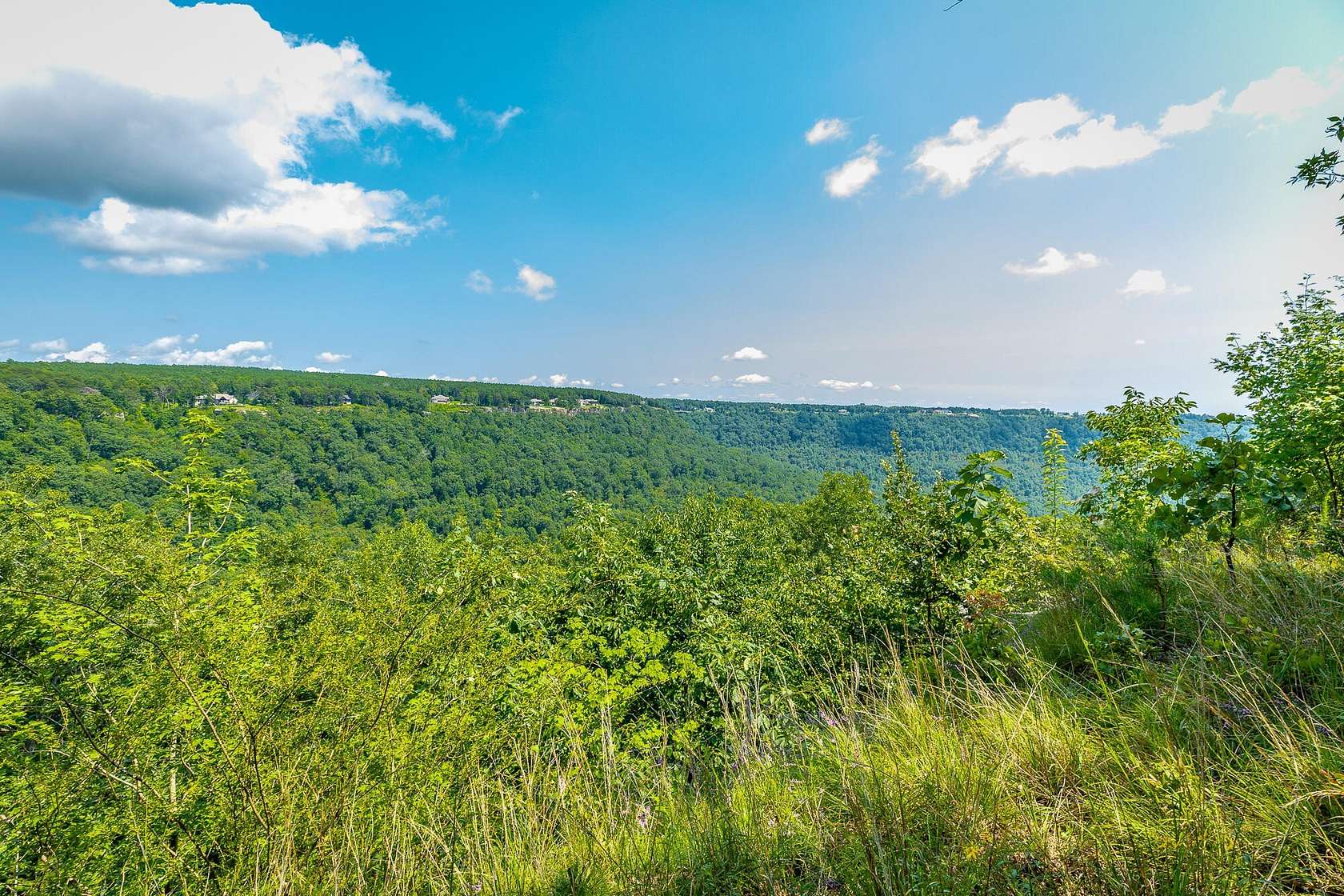 1.19 Acres of Residential Land for Sale in Jasper, Tennessee