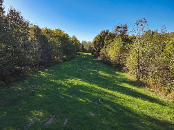 51.3 Acres of Recreational Land for Sale in Bardwell, Kentucky
