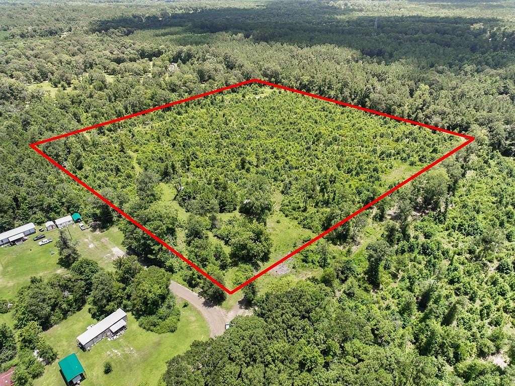 16.7 Acres of Land for Sale in Jasper, Texas