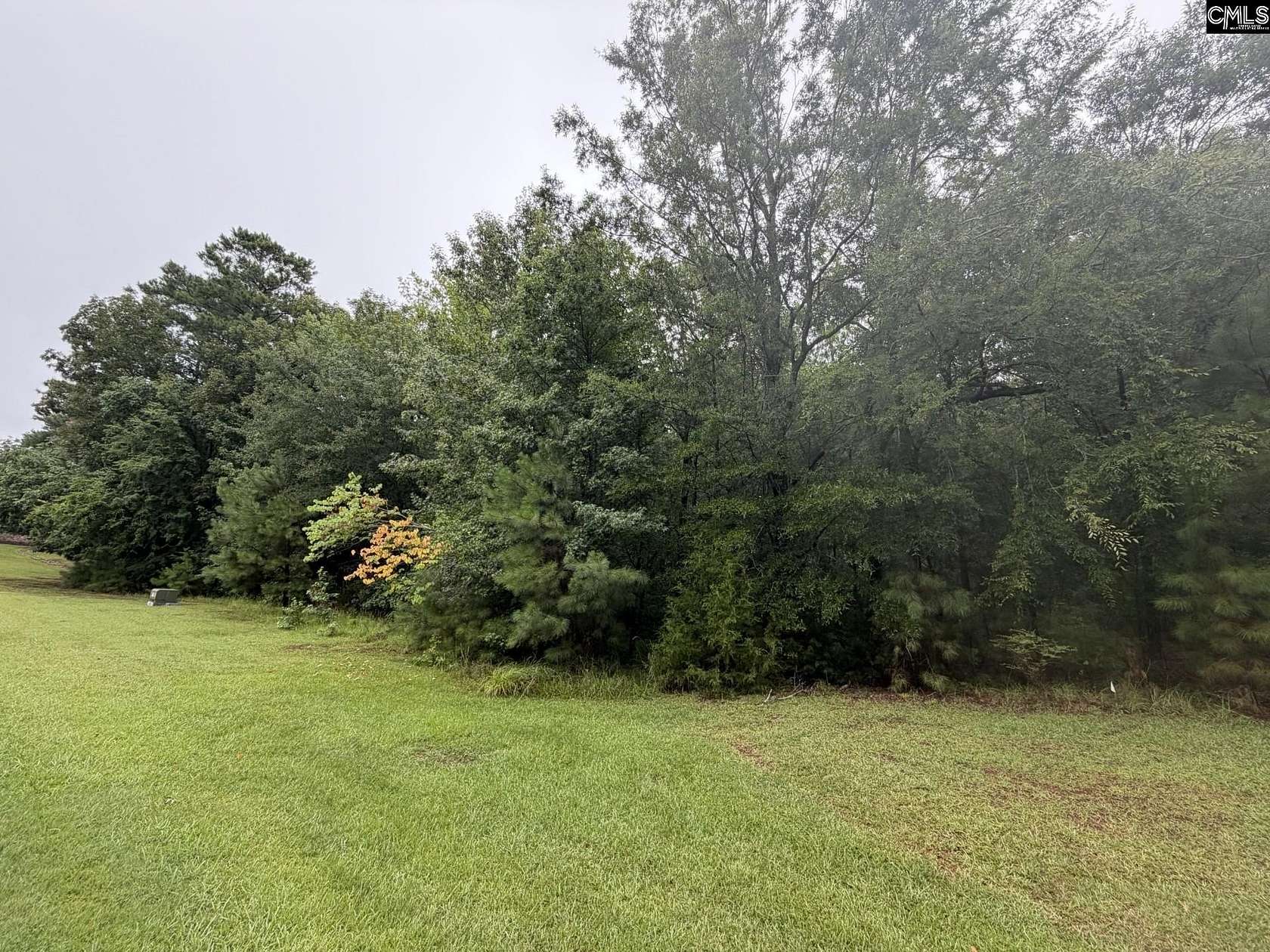 1 Acre of Residential Land for Sale in Prosperity, South Carolina