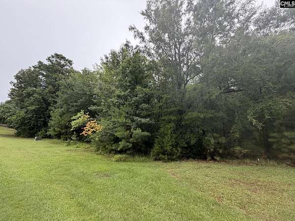 1 Acre of Residential Land for Sale in Prosperity, South Carolina