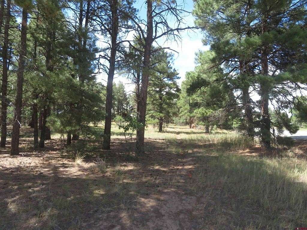0.34 Acres of Land for Sale in Pagosa Springs, Colorado
