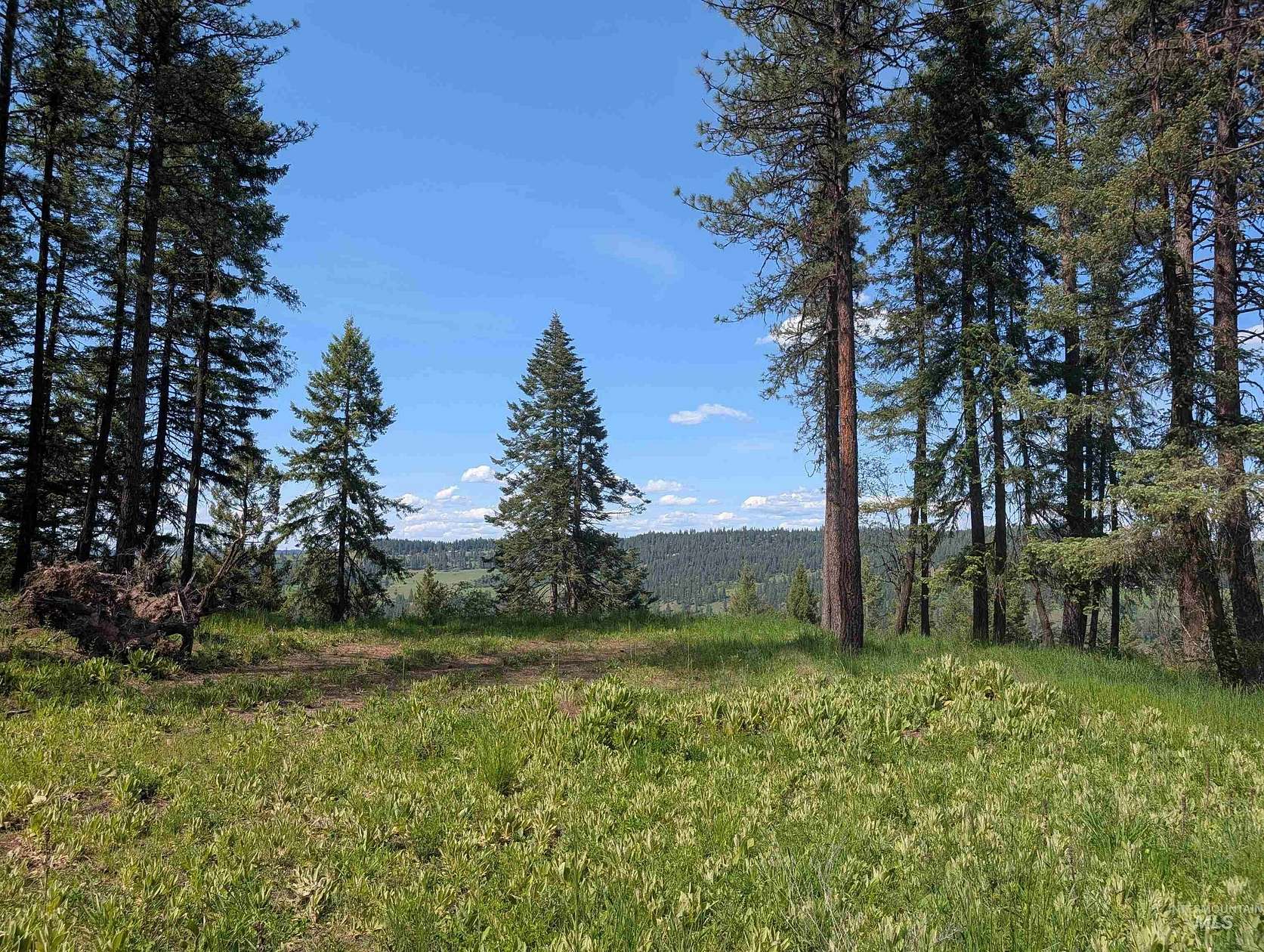 22 Acres of Recreational & Residential Land for Sale in Orofino, Idaho