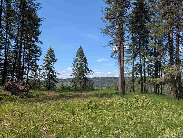 22 Acres of Recreational & Residential Land for Sale in Orofino, Idaho