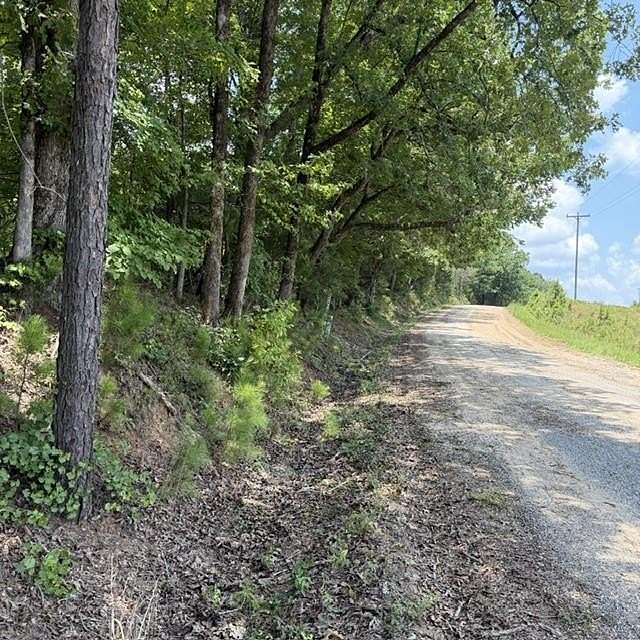80.6 Acres of Recreational Land for Sale in Junction City, Georgia