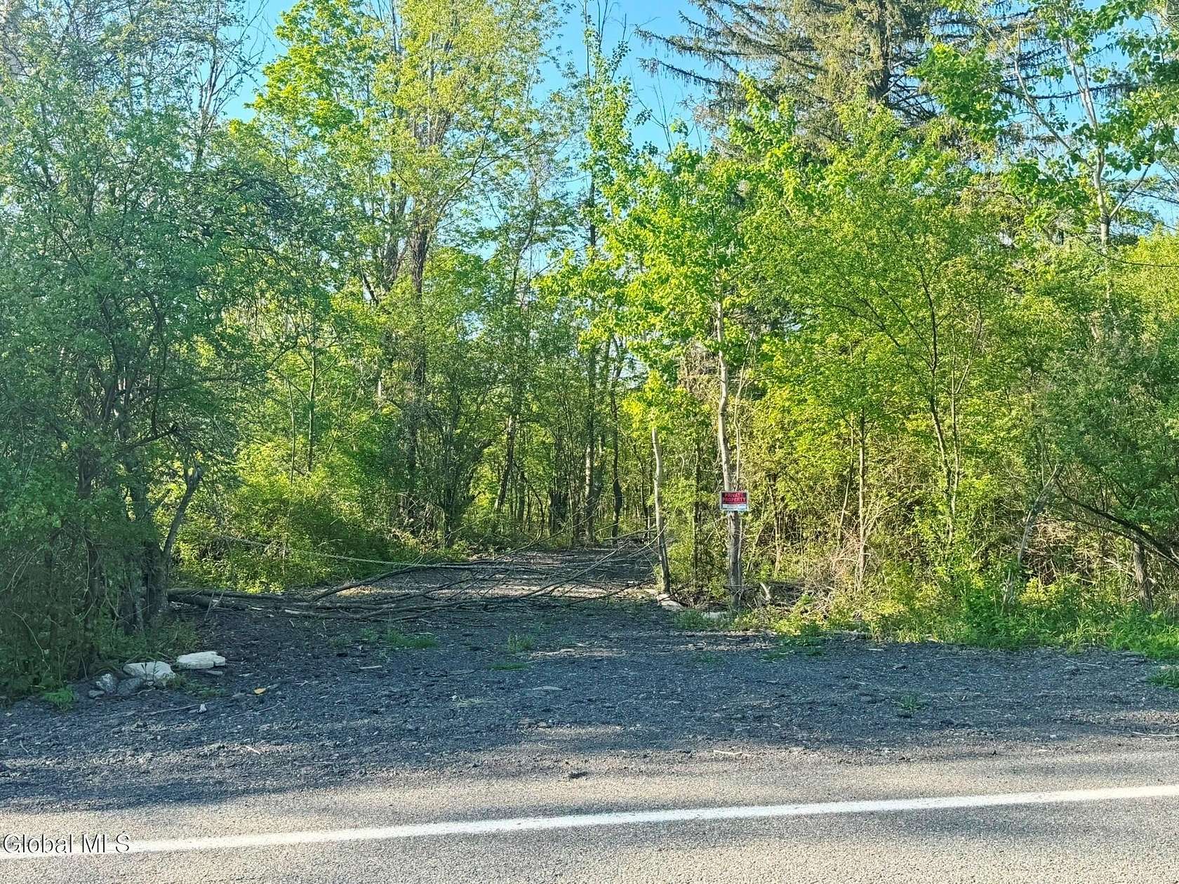 9 Acres of Residential Land for Sale in Voorheesville, New York