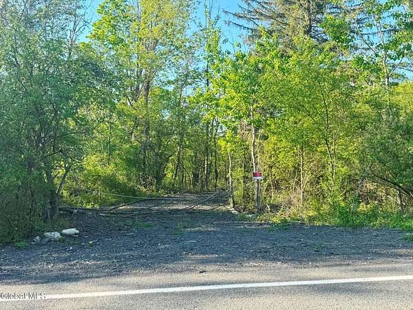 9 Acres of Residential Land for Sale in Voorheesville, New York