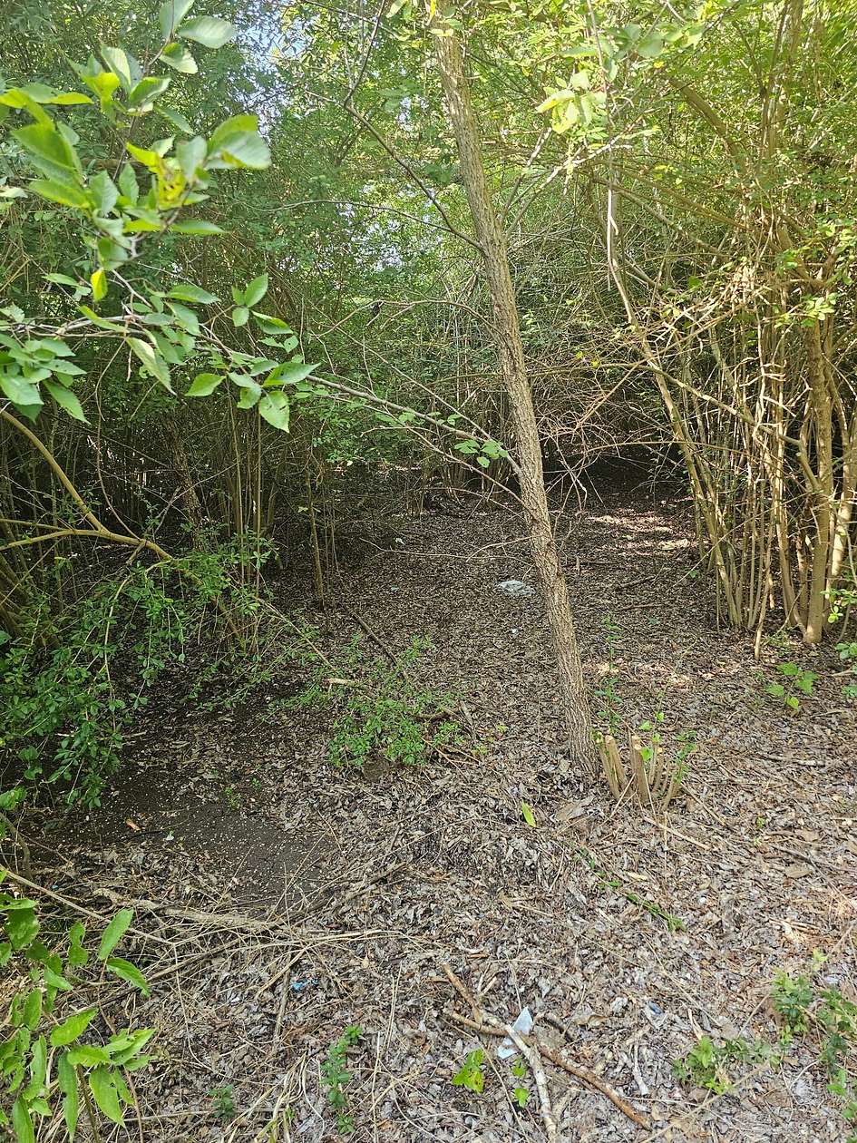 0.42 Acres of Residential Land for Sale in Lancaster, Texas