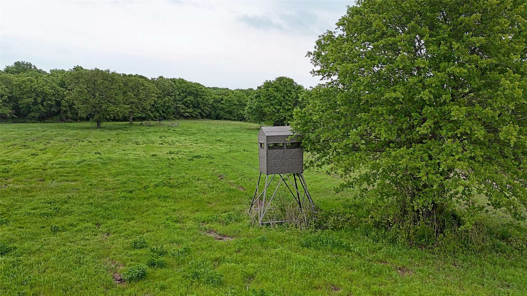 110 Acres of Land for Sale in St. Jo, Texas
