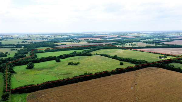 100 Acres of Land for Sale in Celeste, Texas