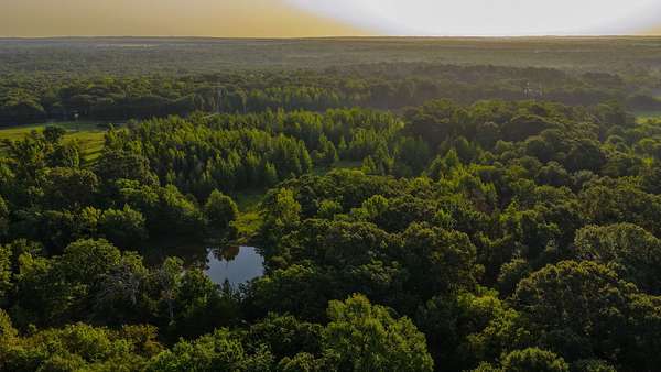 177 Acres of Land for Sale in Ben Wheeler, Texas