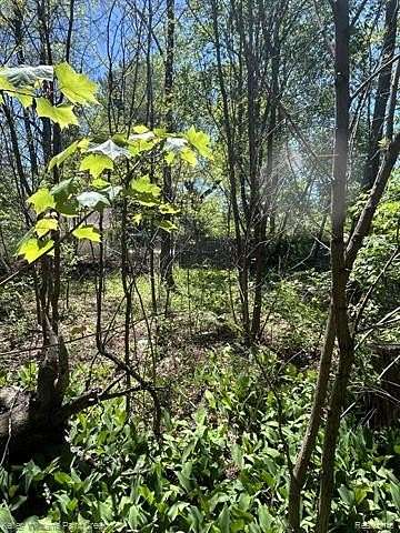 0.1 Acres of Residential Land for Sale in Prescott, Michigan
