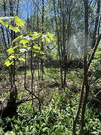 0.1 Acres of Residential Land for Sale in Prescott, Michigan