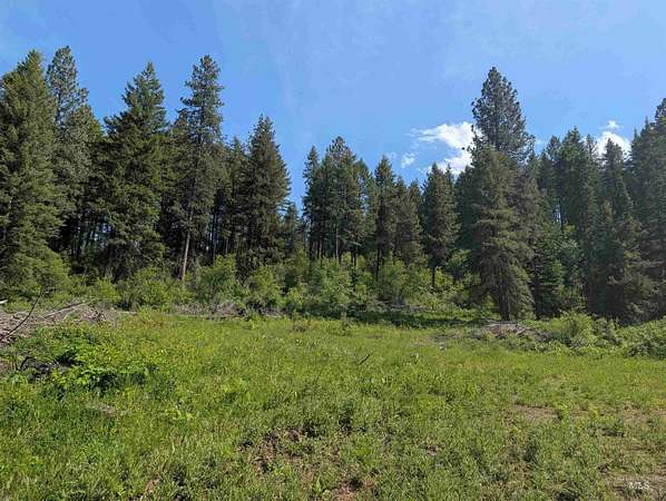 22.1 Acres of Recreational & Residential Land for Sale in Orofino, Idaho