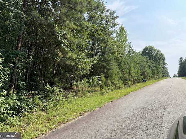10 Acres of Land for Sale in Mansfield, Georgia