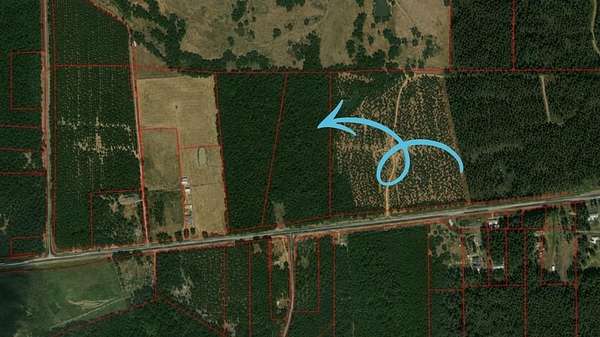 15.2 Acres of Recreational & Residential Land for Sale in Jacksonville, Texas