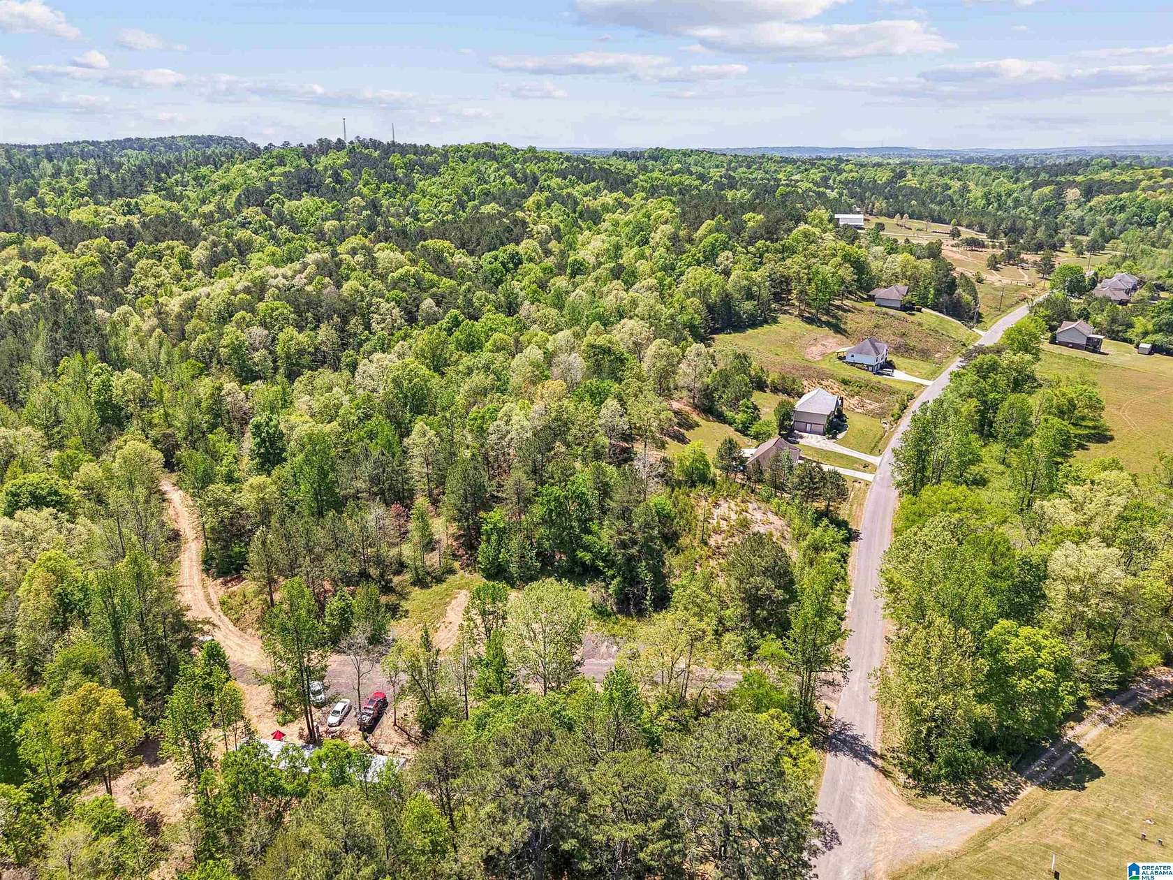 53.3 Acres of Land with Home for Sale in Hayden, Alabama