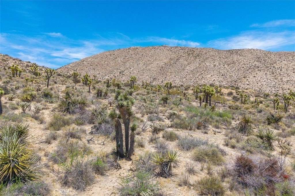 2.5 Acres of Residential Land for Sale in Yucca Valley, California