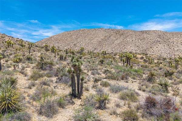 2.5 Acres of Residential Land for Sale in Yucca Valley, California