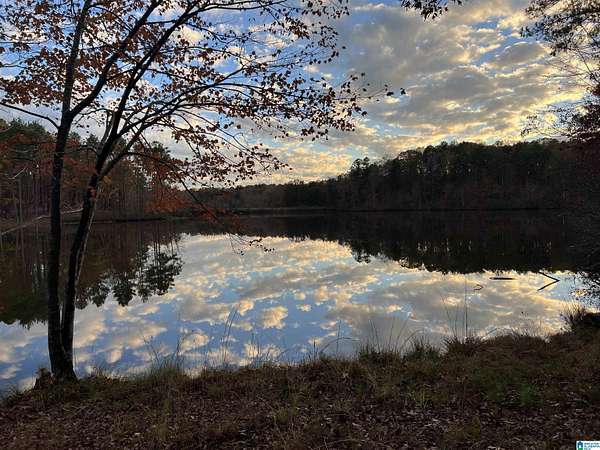 46 Acres of Recreational & Residential Land for Sale in Alabaster, Alabama