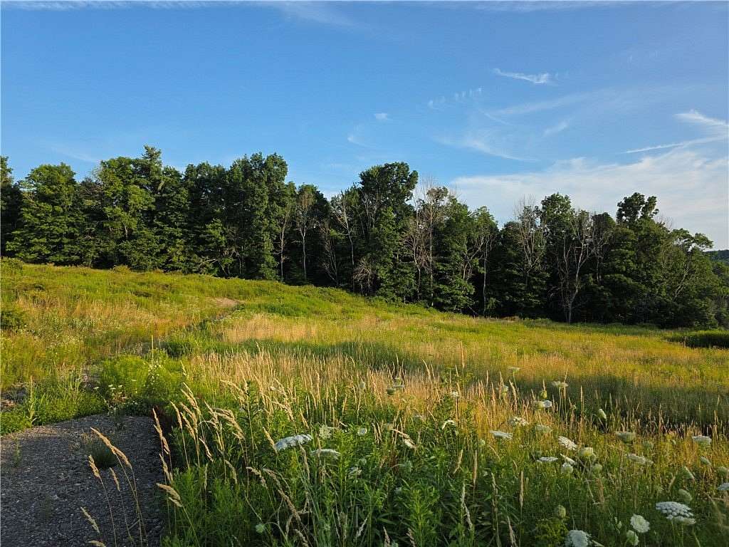 5.25 Acres of Residential Land for Sale in Unadilla, New York