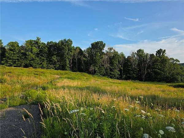 5.25 Acres of Residential Land for Sale in Unadilla, New York