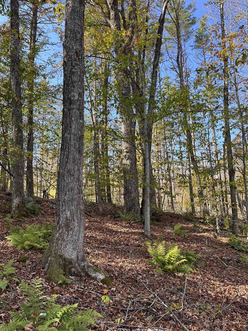 111 Acres of Recreational Land for Sale in Acworth, New Hampshire